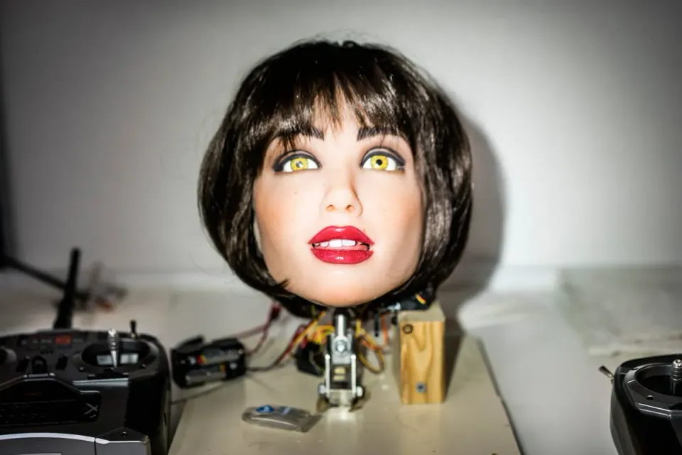 SEX BOTS